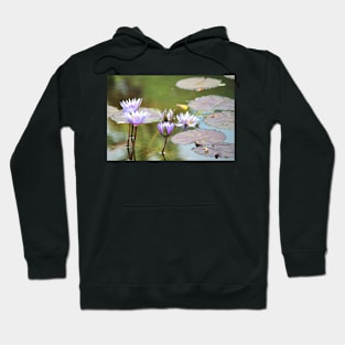 Lavendar Water Lilies Hoodie